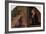 'The Annunciation', c1435-1440-Filippo Lippi-Framed Giclee Print