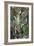 The Annunciation, Ca 1596-1600-El Greco-Framed Giclee Print