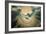 The Annunciation (Dove Detail)-Garofalo-Framed Giclee Print