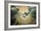 The Annunciation (Dove Detail)-Garofalo-Framed Giclee Print