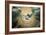 The Annunciation (Dove Detail)-Garofalo-Framed Giclee Print