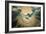 The Annunciation (Dove Detail)-Garofalo-Framed Giclee Print