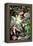 The Annunciation-El Greco-Framed Premier Image Canvas