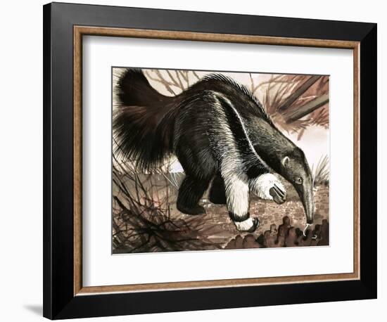 The Anteater-null-Framed Premium Giclee Print