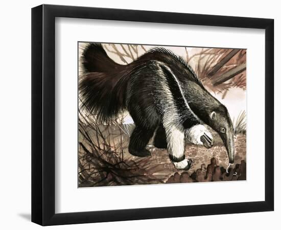 The Anteater-null-Framed Premium Giclee Print
