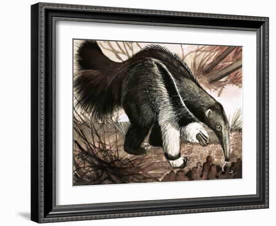 The Anteater-null-Framed Giclee Print