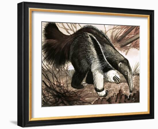 The Anteater-null-Framed Giclee Print