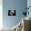 The Antennae Galaxies-Stocktrek Images-Mounted Photographic Print displayed on a wall