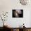 The Antennae Galaxies-Stocktrek Images-Photographic Print displayed on a wall