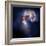 The Antennae Galaxies-Stocktrek Images-Framed Photographic Print