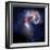 The Antennae Galaxies-Stocktrek Images-Framed Photographic Print