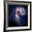 The Antennae Galaxies-Stocktrek Images-Framed Photographic Print