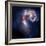 The Antennae Galaxies-Stocktrek Images-Framed Photographic Print