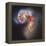 The Antennae Galaxies-null-Framed Premier Image Canvas