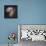 The Antennae Galaxies-null-Framed Premier Image Canvas displayed on a wall