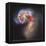 The Antennae Galaxies-null-Framed Premier Image Canvas