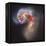 The Antennae Galaxies-null-Framed Premier Image Canvas