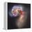 The Antennae Galaxies-null-Framed Premier Image Canvas