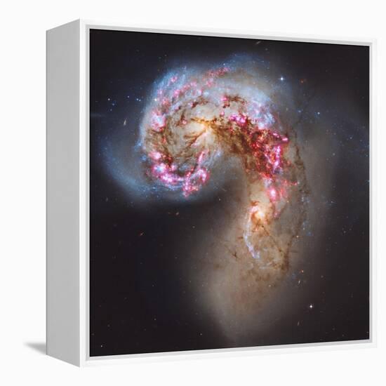 The Antennae Galaxies-null-Framed Premier Image Canvas