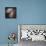 The Antennae Galaxies-null-Photographic Print displayed on a wall