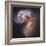 The Antennae Galaxies-null-Framed Photographic Print