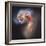 The Antennae Galaxies-null-Framed Photographic Print