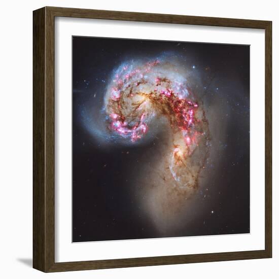 The Antennae Galaxies-null-Framed Photographic Print