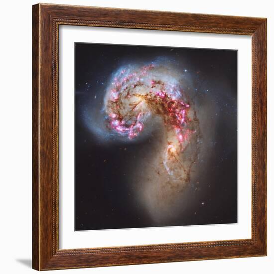 The Antennae Galaxies-null-Framed Photographic Print