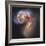 The Antennae Galaxies-null-Framed Photographic Print