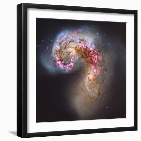 The Antennae Galaxies-null-Framed Photographic Print