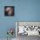 The Antennae Galaxies-null-Mounted Photographic Print displayed on a wall