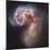 The Antennae Galaxies-null-Mounted Photographic Print