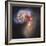 The Antennae Galaxies-null-Framed Photographic Print