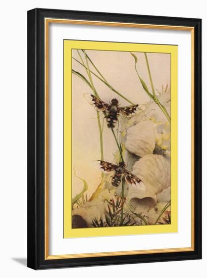 The Anthrax Fly-Edward Detmold-Framed Art Print