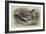 The Antwerp Carrier Pigeon-Thomas W. Wood-Framed Giclee Print