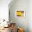 The Apartment, 1960-null-Framed Art Print displayed on a wall