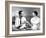 The Apartment, Jack Lemmon, Shirley MacLaine, 1960-null-Framed Photo