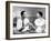 The Apartment, Jack Lemmon, Shirley MacLaine, 1960-null-Framed Photo