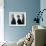 The Apartment-null-Framed Photo displayed on a wall