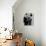 The Apartment-null-Photo displayed on a wall