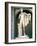 The Apollo Belvedere, Roman Copy, Probably of a Greek Original 4th Century BC-null-Framed Giclee Print