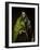 The Apostle Saint James the Great-El Greco-Framed Giclee Print