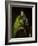 The Apostle Saint James the Great-El Greco-Framed Giclee Print