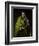 The Apostle Saint James the Great-El Greco-Framed Giclee Print