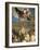 The Apotheosis of Venice-Paolo Veronese-Framed Giclee Print