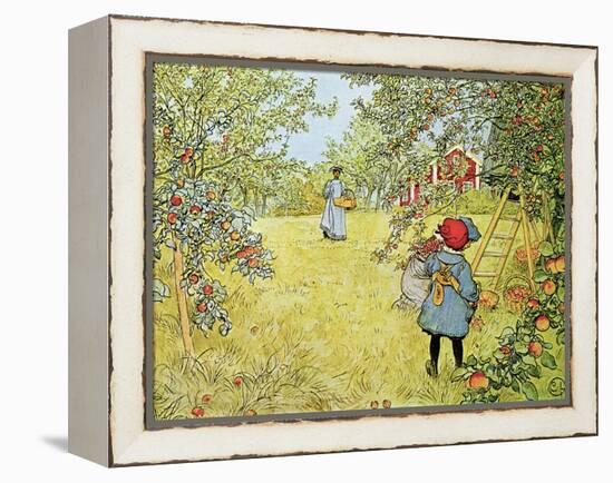 The Apple Harvest-Carl Larsson-Framed Premier Image Canvas