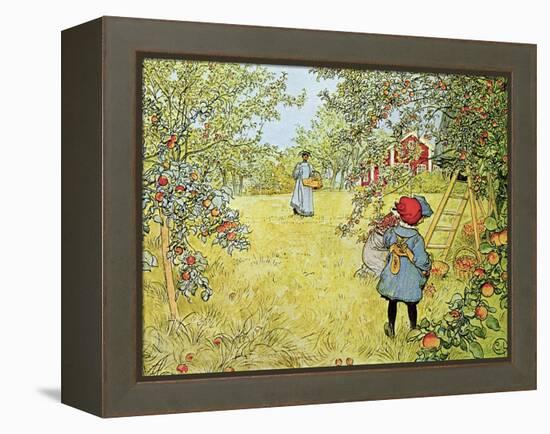 The Apple Harvest-Carl Larsson-Framed Premier Image Canvas