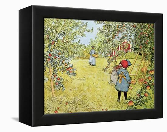 The Apple Harvest-Carl Larsson-Framed Premier Image Canvas