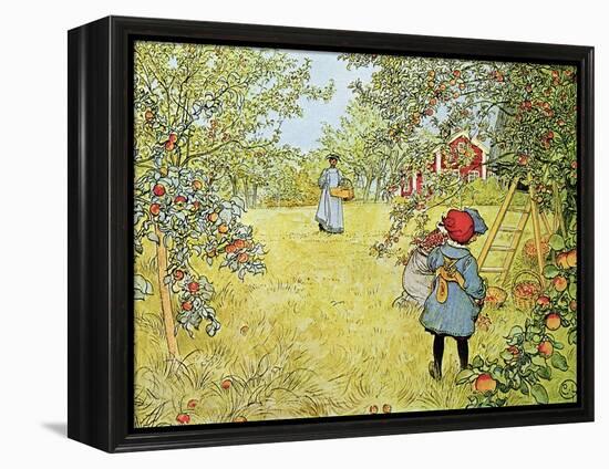 The Apple Harvest-Carl Larsson-Framed Premier Image Canvas