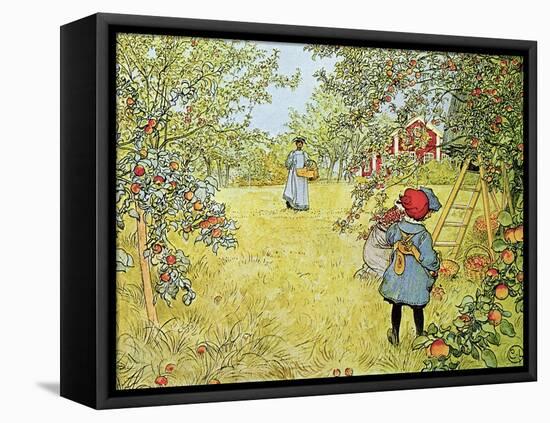 The Apple Harvest-Carl Larsson-Framed Premier Image Canvas